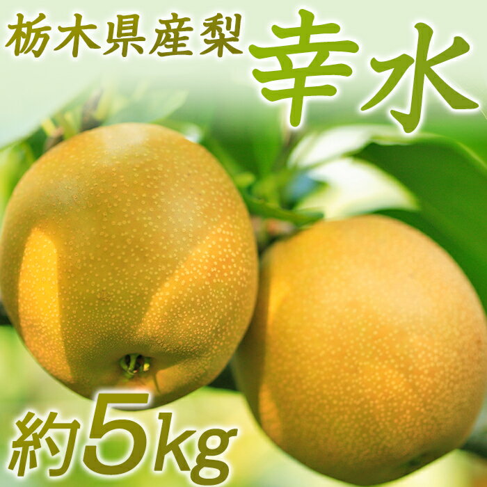 【ふるさと納税】N01 梨 なし 幸水 5kg フルーツ 先行予約 2024年 8月 上旬頃 栃木県