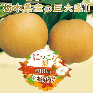 【ふるさと納税】N06 梨 なし にっこり梨 10kg フルーツ 先行予約 2023年 10月 中旬頃 栃木県