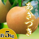 13位! 口コミ数「1件」評価「5」N09 梨 なし あきづき 5kg フルーツ 先行予約 2024年 9月 中旬頃 栃木県