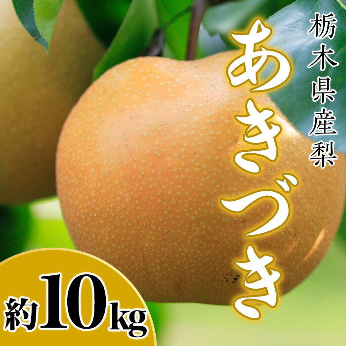 【ふるさと納税】N10 梨 なし あきづき 10kg フルーツ 先行予約 2024年 9月 中旬頃 栃木県