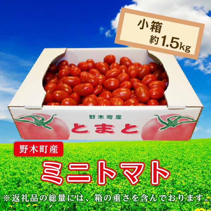 19位! 口コミ数「0件」評価「0」ミニトマト トマト 甘い T02 栃木県野木町産ミニトマト小箱（約1.5kg）