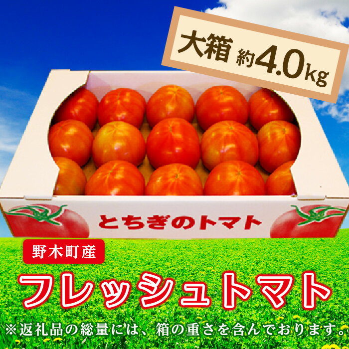 楽天ふるさと納税　【ふるさと納税】トマト 甘い T03 栃木県野木町産トマト大箱（約4kg）