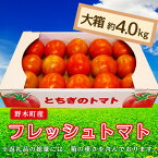 【ふるさと納税】トマト 甘い T03 栃木県野木町産トマト大箱（約4kg）