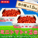 ミニトマト トマト 甘い T05 栃木県野木町産ミニトマト小箱（約1.5kg）×2セット