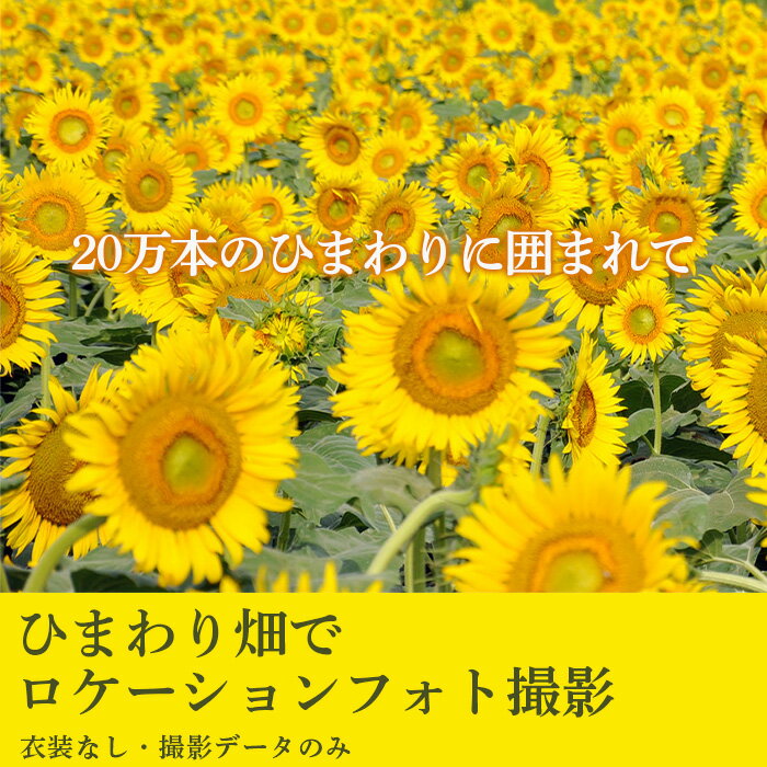 2位! 口コミ数「0件」評価「0」W01・ひまわり畑でロケーションフォト撮影（撮影データのみ）