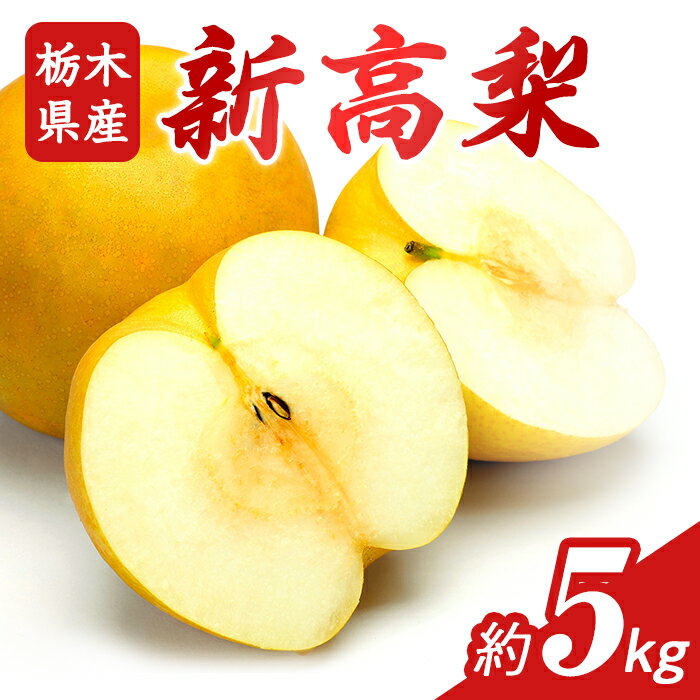 N07 梨 なし 新高梨 5kg フルーツ 先行予約 2024年 10月 上旬頃 栃木県