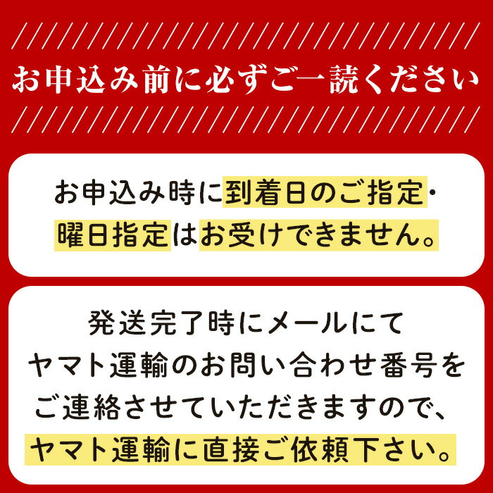 【ふるさと納税】N08 梨 なし 新高梨 10kg フルーツ 先行予約 2024年 10月 上旬頃 栃木県