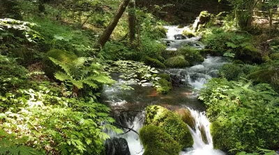 【ふるさと納税】【塩谷町】尚仁沢の天然水(500mlペットボトル)