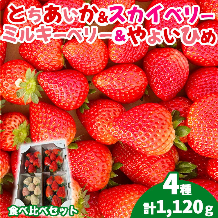 【ふるさと納税】【先行受付】4種のいちご食べ比べセット 約280g×4パック （とちあいか・スカイベリー・ミルキーベリー・やよいひめ）｜いちご 苺 イチゴ 果物 フルーツ 食べ比べ 栃木県 塩谷町※2025年1月上旬～3月中旬頃に順次発送予定※着日指定不可