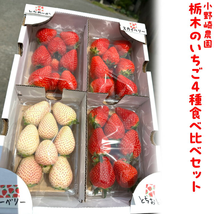 [先行受付]いちご王国栃木 いちご4種食べ比べセット (とちあいか とちおとめ スカイベリー ミルキーベリー各280g 4パック入り1箱) |果物 栃木県産 小野崎農園 数量限定 期間限定※2026年1月上旬〜3月下旬頃に順次発送予定