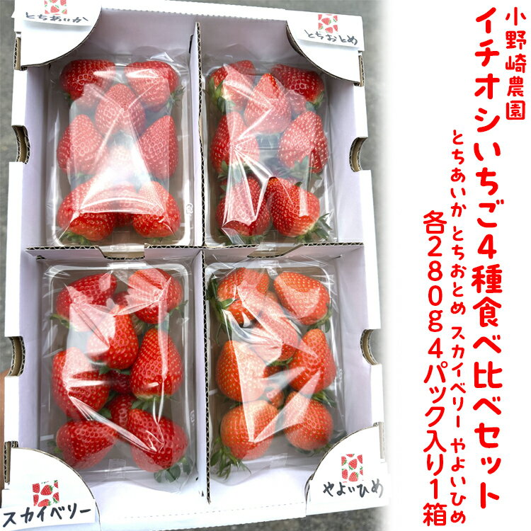 [先行受付]小野崎農園 イチオシいちご4種食べ比べセット (とちあいか とちおとめ スカイベリー やよいひめ各280g 4パック入り1箱)|果物 苺 栃木県産 小野崎農園 数量限定 期間限定※2026年1月上旬〜3月下旬頃に順次発送予定