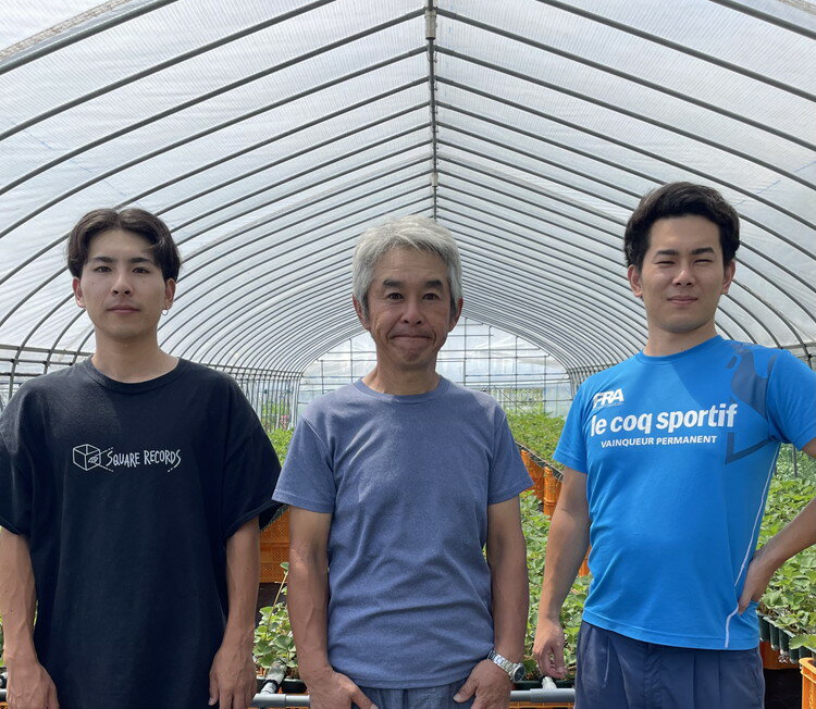 【ふるさと納税】とちあいか600g＆とちおとめ600g 食べ比べセット 計1.2kg 風袋入り ｜ 人気 2品種 食べ比べ 手作り 厳選 農家 特産品 新鮮 フレッシュ ストロベリー 苺 塩谷町※2023年11月下旬～2024年4月末頃に順次発送予定※北海道・沖縄・離島への配送不可