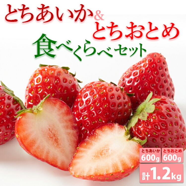 とちあいか600g&とちおとめ600g 食べ比べセット 計1.2kg 風袋入り | 人気 2品種 食べ比べ 手作り 厳選 農家 特産品 新鮮 フレッシュ ストロベリー 苺 塩谷町 ※2024年12月上旬〜2025年4月下旬頃に順次発送予定 ※北海道・沖縄・離島への配送不可