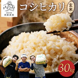 【ふるさと納税】《先行受付》令和7年産新米 コシヒカリ玄米30kg | 米 お米 国産 栃木県 塩谷町 ※2025年11月上旬頃より順次発送予定