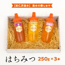 26位! 口コミ数「0件」評価「0」【尚仁沢湧水】湧水の郷しおや　はちみつ250g×3本セット◇