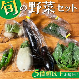 【ふるさと納税】旬の野菜セット 5種類以上お届け|季節の野菜 詰合せ 塩谷町 栃木県 ※北海道・沖縄・離島への配送不可