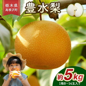 【ふるさと納税】高根沢町産 豊水梨 約5kg(8~14玉)送料無料 ※2025年9月上旬~9月下旬頃に順次発送予定 ※北海道・沖縄・離島への配送不可