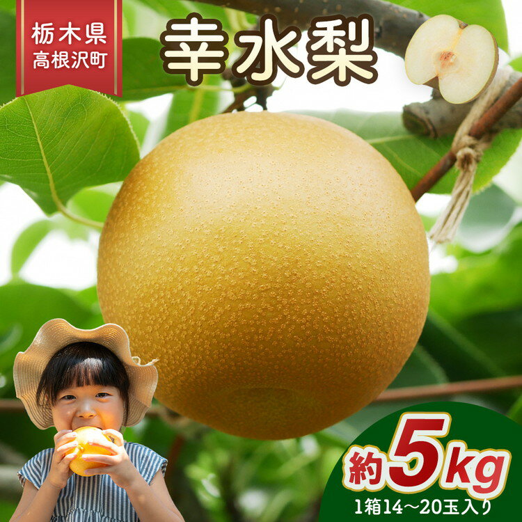 幸水梨 5kg 梨 栃木県産 ※2025年8月上旬〜8月中旬頃に順次発送予定 ※北海道・沖縄・離島への配送不可