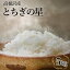 【ふるさと納税】とちぎの星5kg | 令和5年産| 国産 栃木県産 とちぎの星 米 お米 精米 白米 栃木米 とちぎ米 産地直送 送料無料