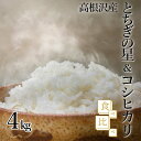 人気ランキング第14位「栃木県高根沢町」口コミ数「0件」評価「0」とちぎの星＆コシヒカリ食べ比べ4kg | 令和5年産| 国産 栃木県産 とちぎの星 コシヒカリ 米 お米 精米 白米 栃木米 とちぎ米 産地直送 送料無料