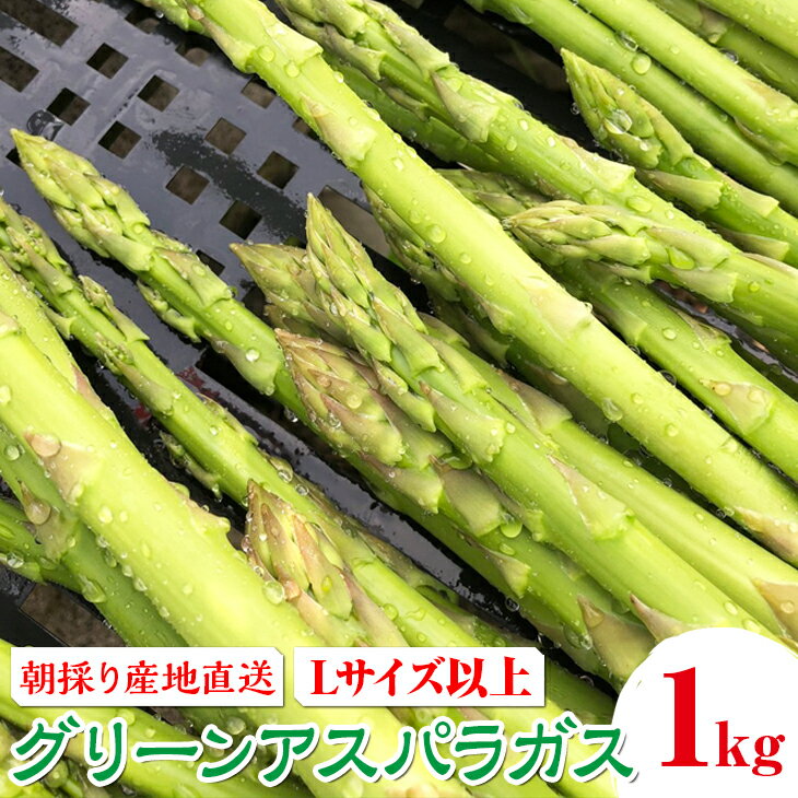 【ふるさと納税】朝採り産地直送グリーンアスパラガス（Lサイズ以上　約1kg）｜ 野菜 有機 高根沢※離島への配送不可