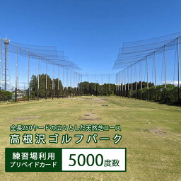 【ふるさと納税】高根沢ゴルフパーク練習場利用プリペイドカード（5000度数）※着日指定不可