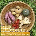 【ふるさと納税】高根沢町農産物詰め合わせ(冬)※2025年12月上旬〜2026年2月下旬頃に順次発送予定 ※北海道・沖縄・離島への配送不可