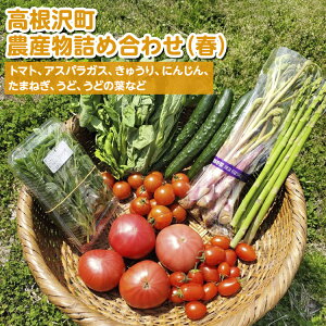 【ふるさと納税】高根沢町農産物詰め合わせ(春)※2026年3月上旬~5月下旬頃に順次発送予定 ※北海道・沖縄・離島への配送不可