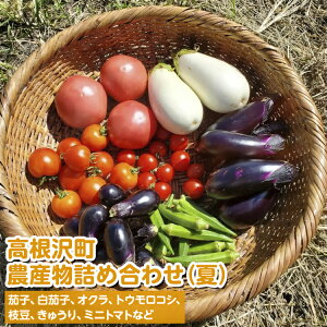 【ふるさと納税】高根沢町農産物詰め合わせ(夏)※2026年6月上旬~8月下旬頃に順次発送予定 ※北海道・沖縄・離島への配送不可