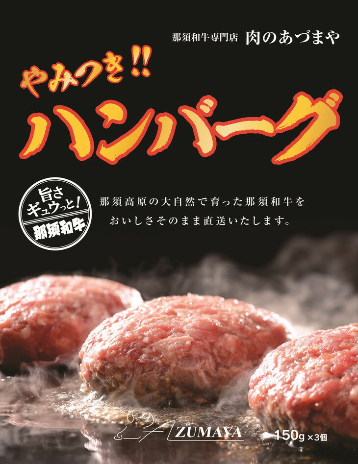 やみつきハンバーグ（3個入） 合挽肉 国産 真空包装 冷凍 那須町 〔P-57〕