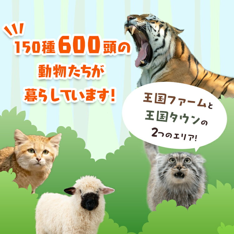 【ふるさと納税】那須どうぶつ王国 ペアご招待券 2名 ｜ 動物 動物園チケット 動物園 どうぶつえん チケット 券 入場券 入園券 観光 ファミリー 家族 お出かけ 旅行 栃木県 那須町〔P-153〕