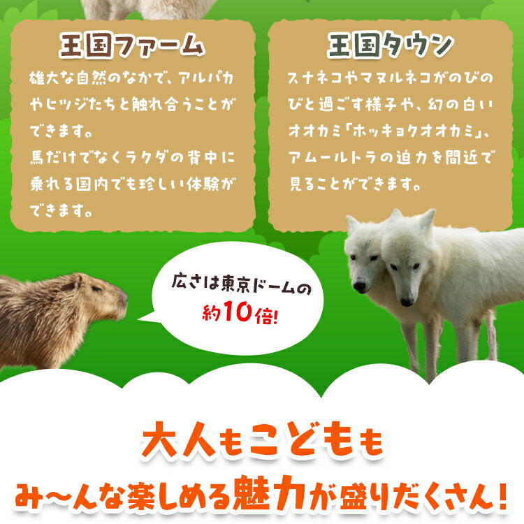 【ふるさと納税】那須どうぶつ王国 ペアご招待券...の紹介画像3