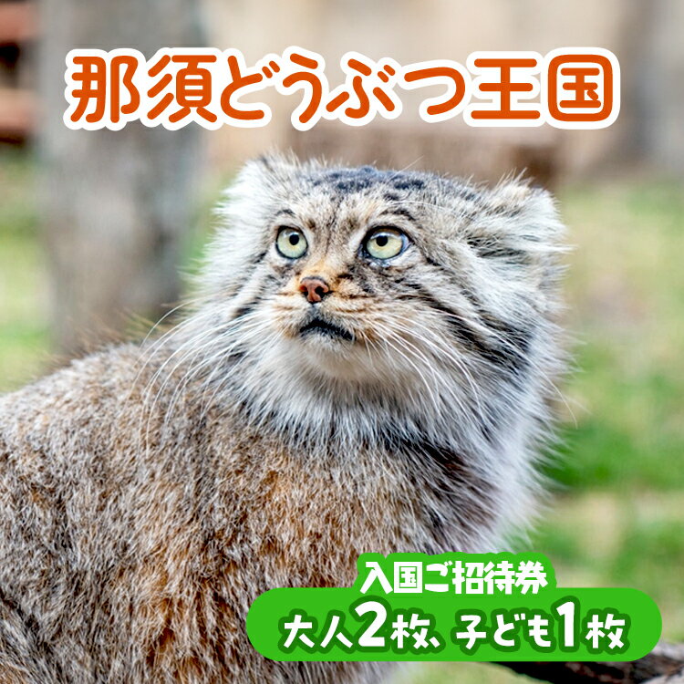 【ふるさと納税】那須どうぶつ王国 ご招待券（大人2名 小人1名） ｜ 動物 動物園チケット 動物園 どうぶつえん チケ…