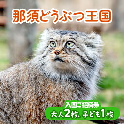 【ふるさと納税】那須どうぶつ王国 ご招待券（大人2名 小人1名） ｜ 動物 動物園チケット 動物園 どうぶつえん チケット 券 入場券 入園券 観光 ファミリー 家族 お出かけ 旅行 栃木県 那須町〔P-154〕