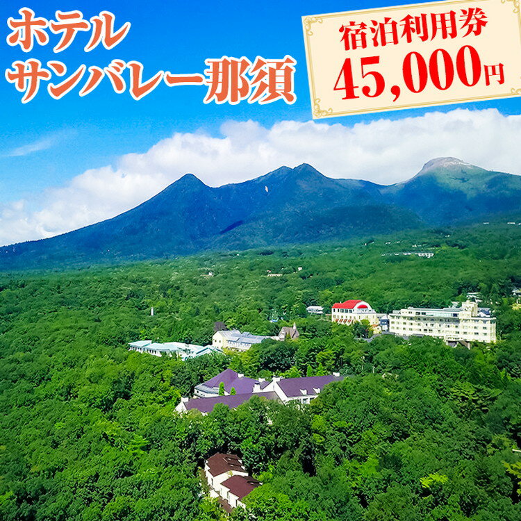 59位! 口コミ数「0件」評価「0」ホテルサンバレー那須宿泊利用券 45,000円〔H-13〕※着日指定不可