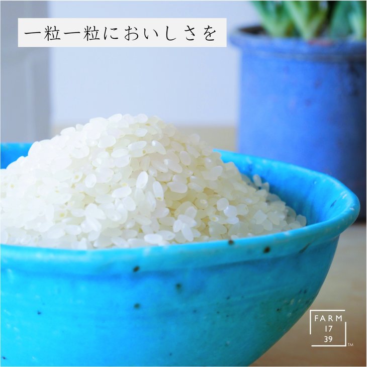 【ふるさと納税】絶品！もっちり那須米2kg＆サクサクやみつきイナポン2袋セット お米 精米 国産 栃木県 那須町産 ポン菓子 〔A-19〕