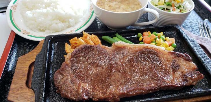 【ふるさと納税】栃木県産那須の後藤牛ロースステーキ用　2枚 牛肉 国産 冷凍 ステーキ 那須町〔D-27〕