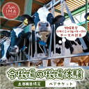 【ふるさと納税】【土日祝日限定】今牧場の牧場体験 ペアチケット | 牧場 体験 バター作り 搾乳 体験型 見学 那須 栃木県 那須町〔P-266〕