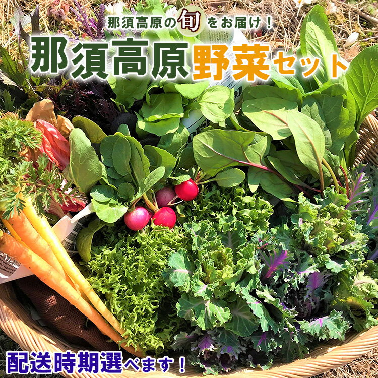 38位! 口コミ数「0件」評価「0」(配送時期が選べる) 那須ブランド 那須高原野菜セット 野菜 お野菜 新鮮 詰め合わせ やさい みずみずしい 美味しい 自然 栃木県 那須町･･･ 