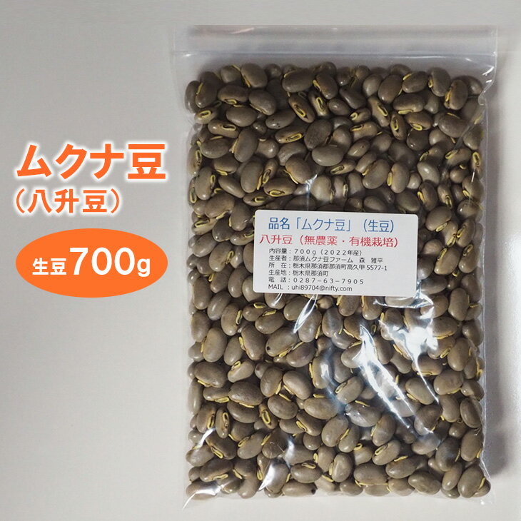 【ふるさと納税】ムクナ豆（八升豆）生豆 700g〔C-58〕