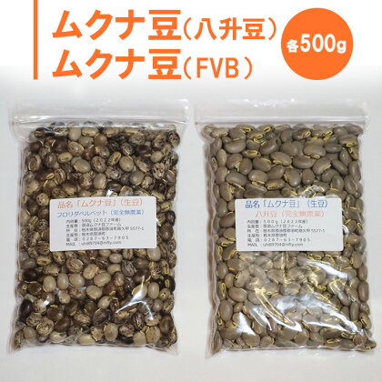 ムクナ豆（八升豆）生豆500g 　ムクナ豆（FVB）生豆500g 〔D-48〕