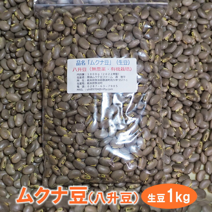 ムクナ豆(八升豆)生豆1kg 〔D-47〕