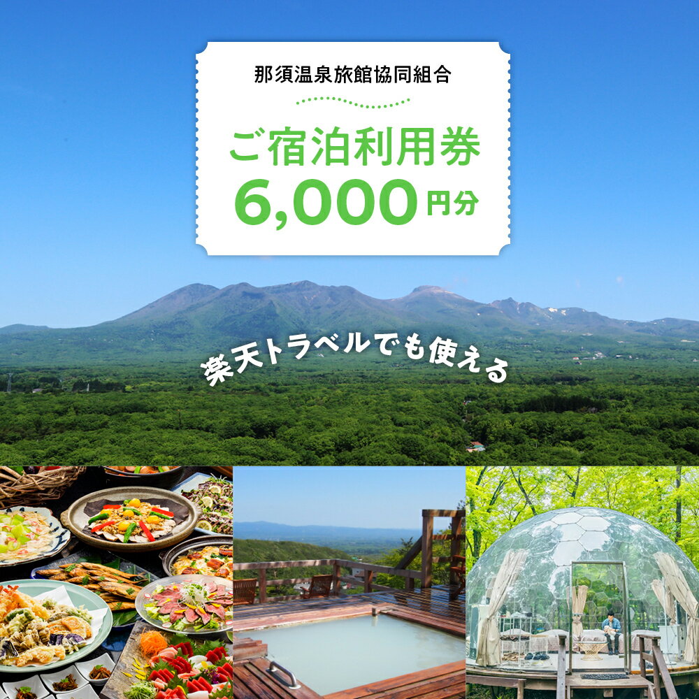 【ふるさと納税】楽天トラベルでも使える那須温泉旅館協同組合　ご宿泊利用券6,000円分（3,000円×2枚）｜ 宿泊 旅行 チケット クーポン 宿泊券 楽天トラベル 温泉 露天風呂 旅行券 温泉 ホテル 〔C-8〕