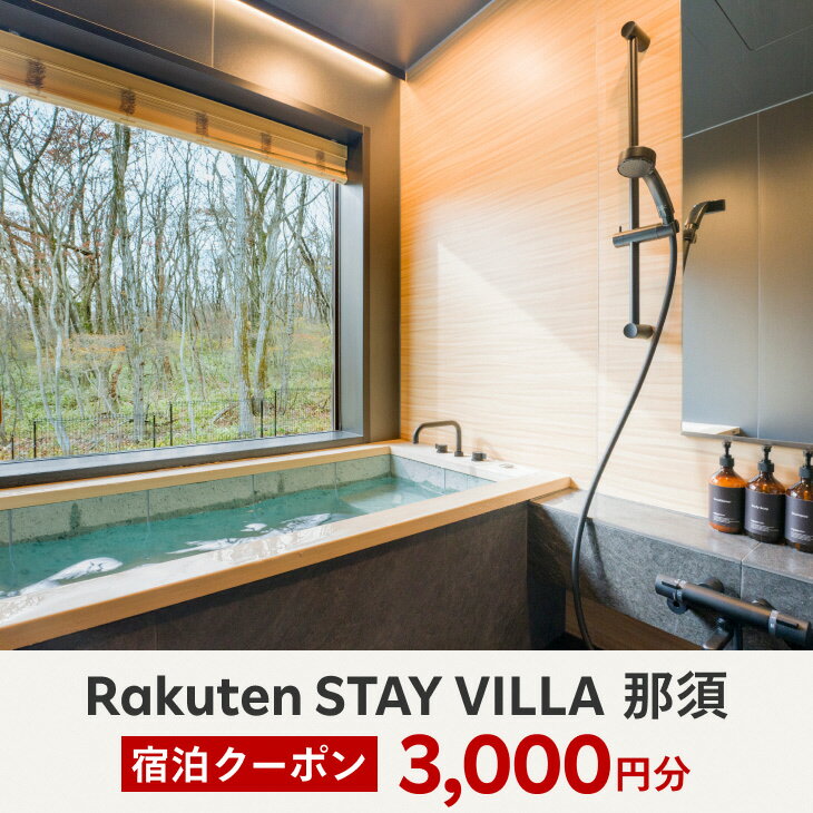 【ふるさと納税】Rakuten STAY VILLA 那須 宿泊クーポン (3,000円分)〔B-81〕※着日指定不可