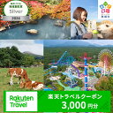 【ふるさと納税】栃木県那須町の対象施設で使える楽天トラベルクーポン 寄付額10,000円|温泉 観光 旅行 ホテル 旅館 クーポン チケット 予約 国内旅行 那須 栃木県 那須町