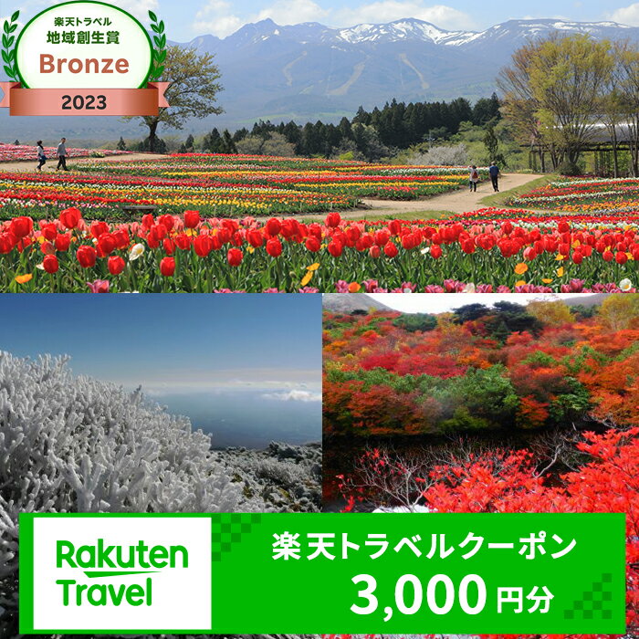 【ふるさと納税】栃木県那須町の対象施設で使える楽天トラベルクーポン 寄付額10,000円