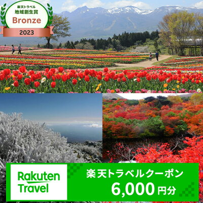 楽天ふるさと納税　【ふるさと納税】栃木県那須町の対象施設で使える楽天トラベルクーポン 寄付額20,000円