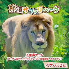 【ふるさと納税】那須サファリパークペア入園券セット（入園＋ライオンバス＋エサやり）2名 モンキーパーク割引チケット付き！動物 動物園チケット どうぶつえん チケット 券 入場券 入園券 エサやり ライオンバス付き 観光 ファミリー 家族 栃木県 那須町〔P-158〕