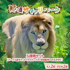 【ふるさと納税】那須サファリパーク入園券セット 大人2名 子ども2名（入園＋ライオンバス＋エサやり）モンキーパーク割引チケット付き！動物 動物園チケット どうぶつえん チケット 券 入場券 入園券 エサやり ライオンバス付き 観光 ファミリー 栃木県 那須町〔P-160〕