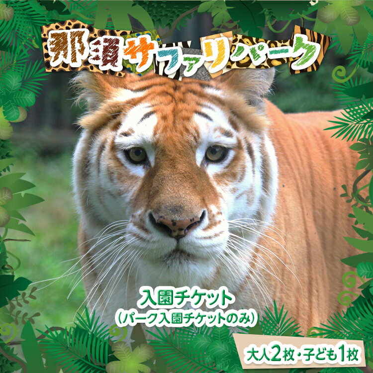 【ふるさと納税】那須サファリパーク入園券（大人2名 子ども1名）モンキーパーク割引チケット付き！動物 動物園チケ…